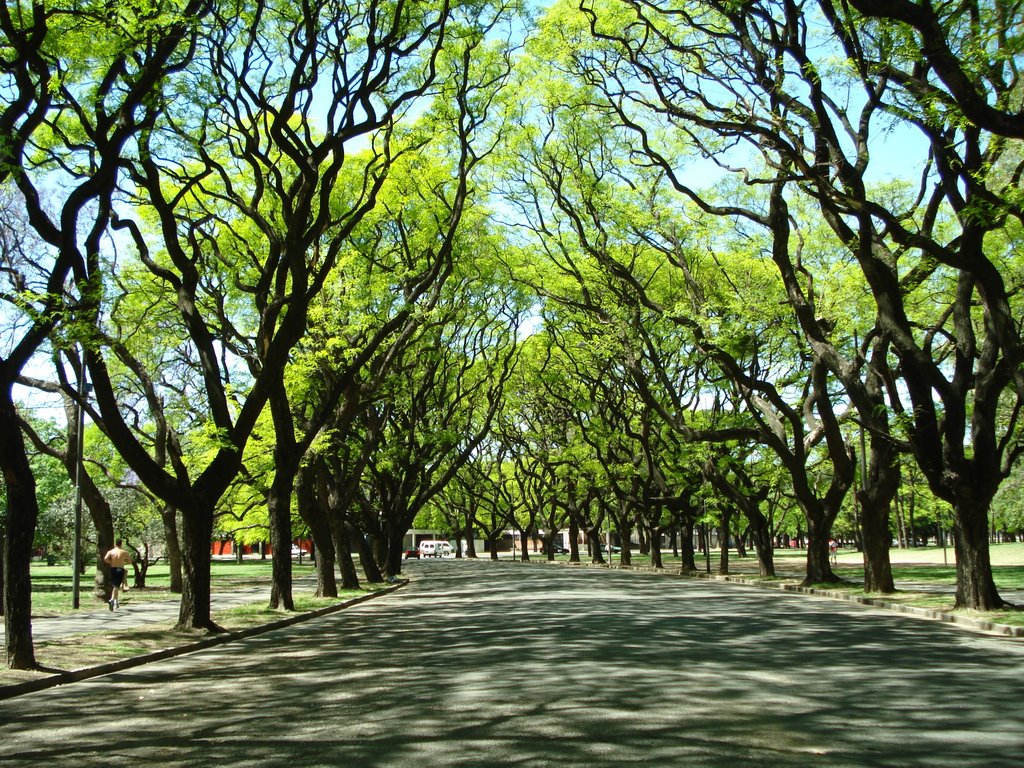 Rosario