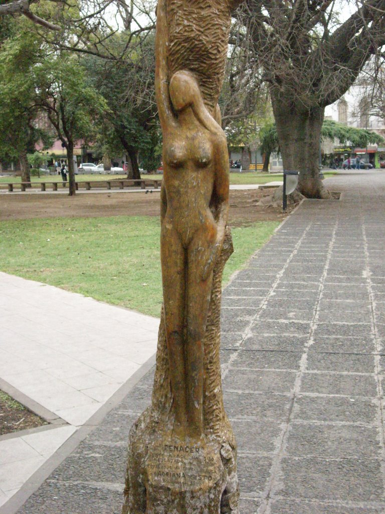 Escultura en arbol