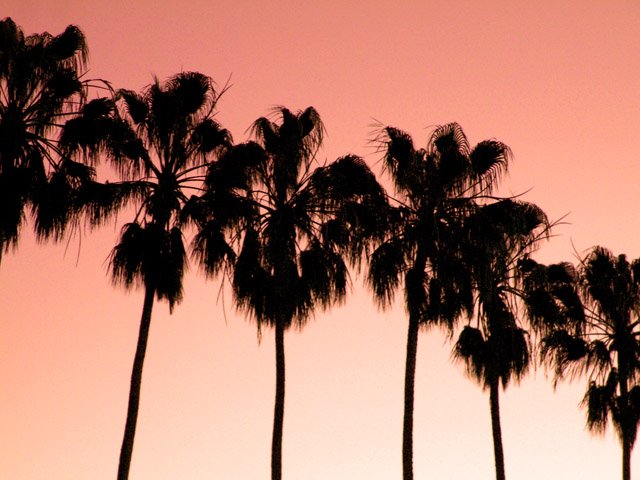 Hermoso Atardecer (Beautiful Dusk)