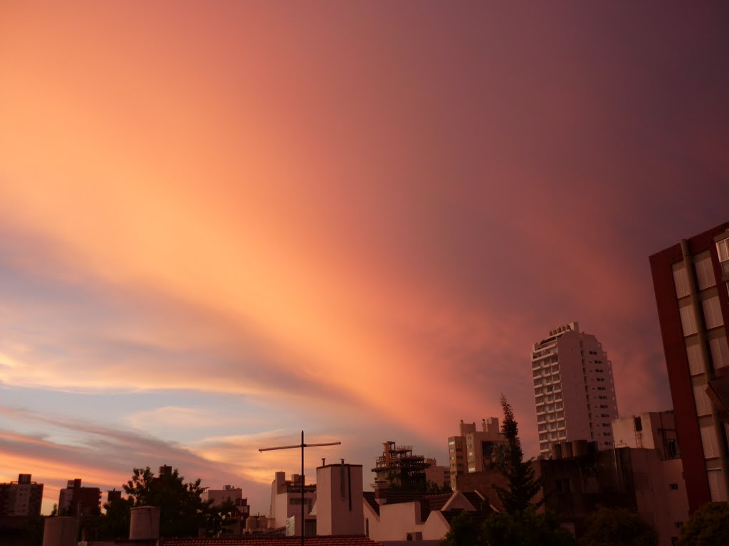 Cielo... IV