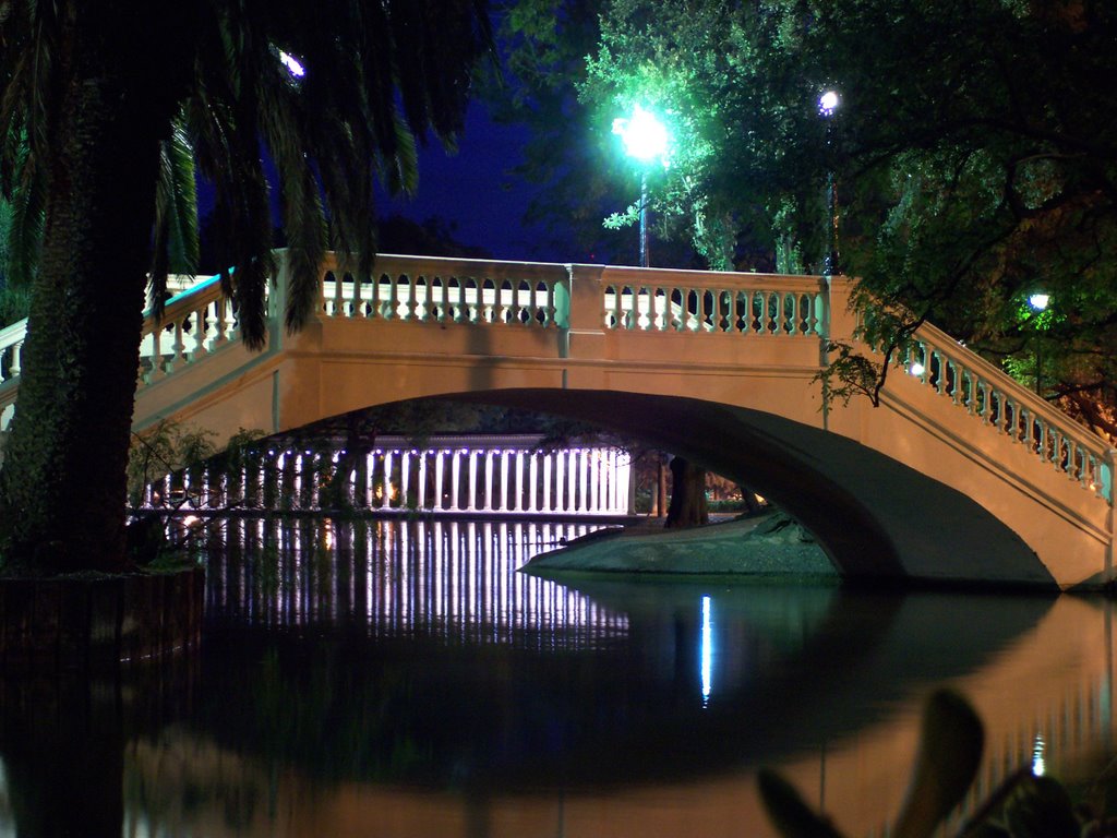 Puente y Columnas (Bridge and Columns)