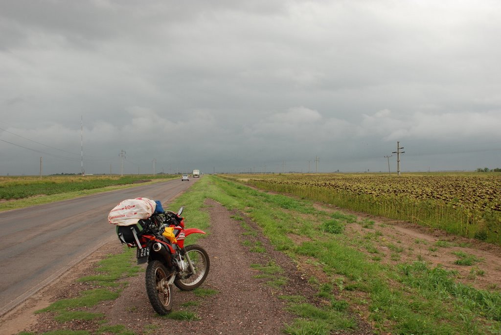 Yendo a la tormenta