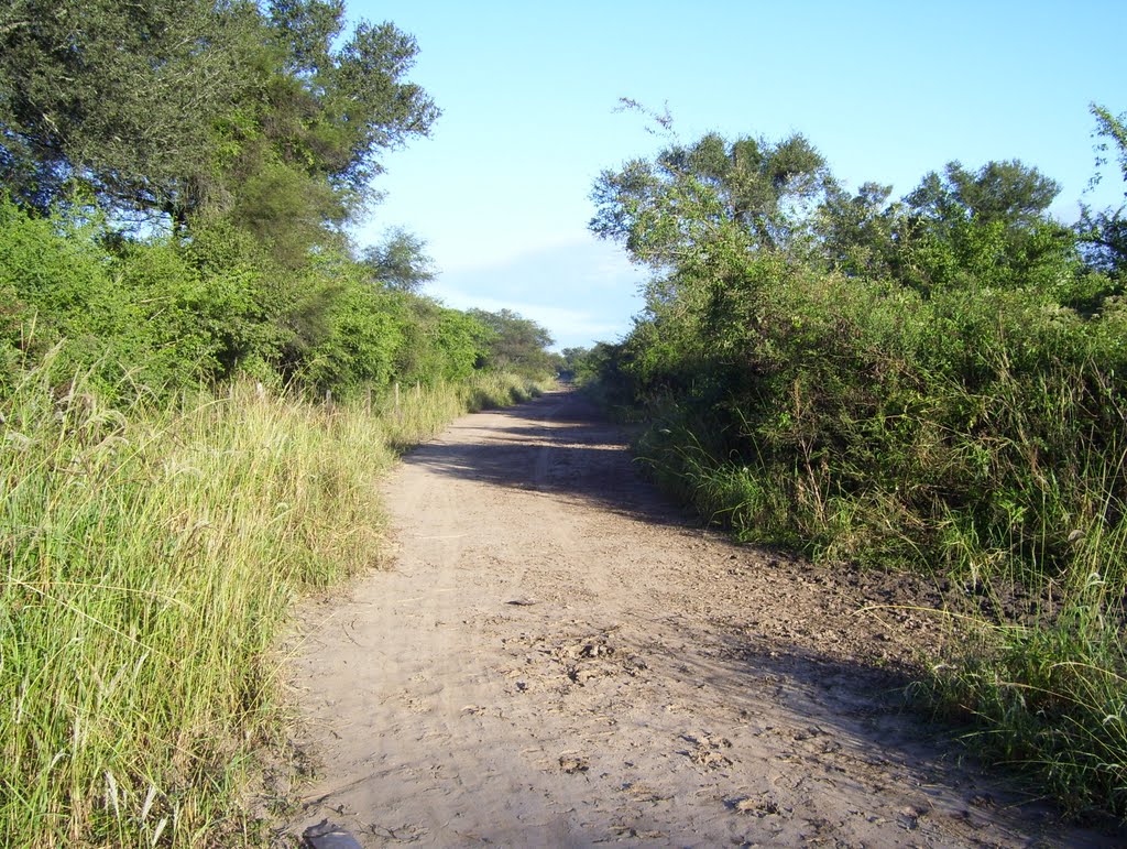 Atajo