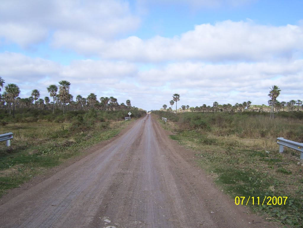 A Pampa Caba Ñaro (Avispa o Abeja malo o bravo)
