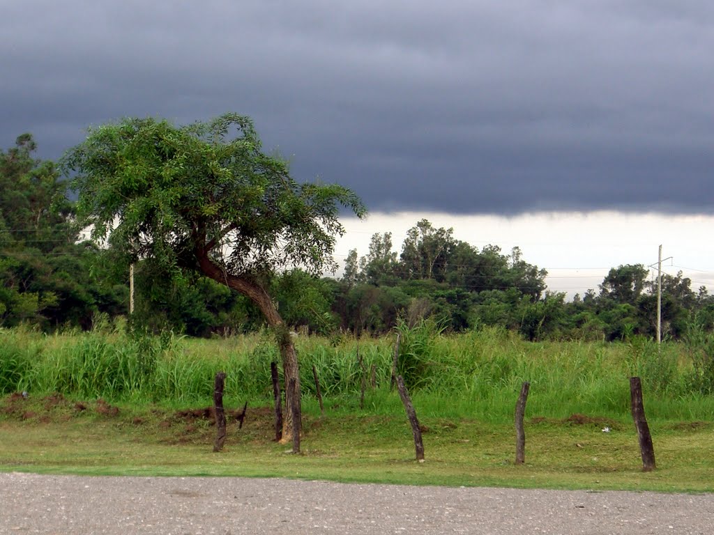 Corrientes - Salta 001