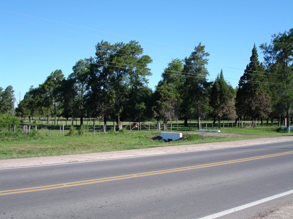 DSC00214