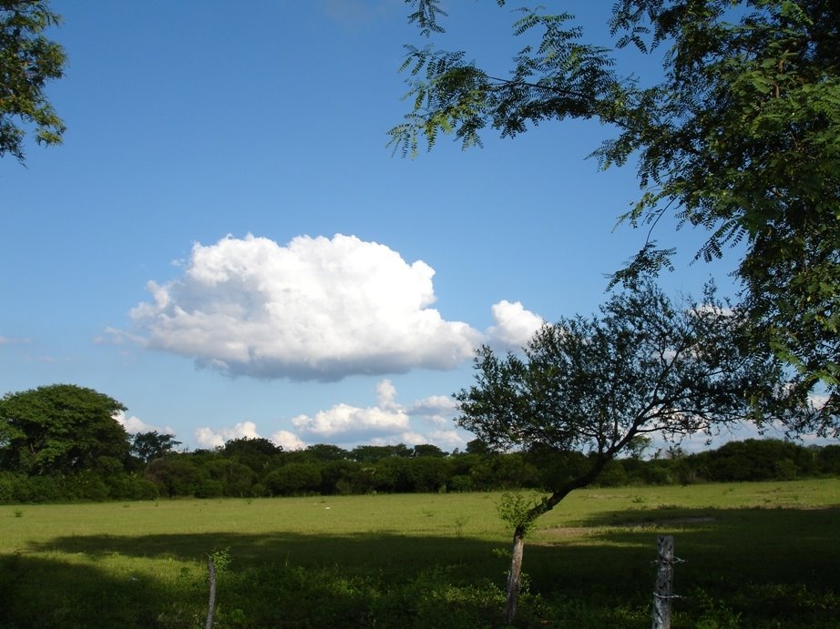 al norte de la ciudad