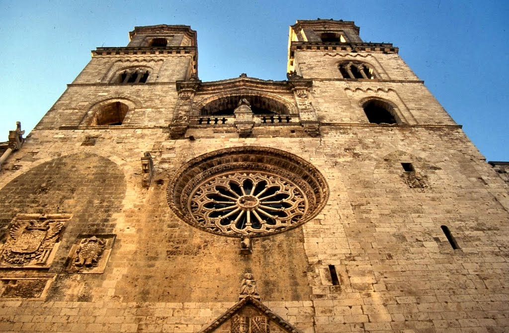 ALTAMURA. Cattedrale