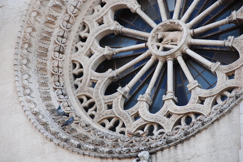 Altamura. Cattedrale. Rosone (25.04.2012)