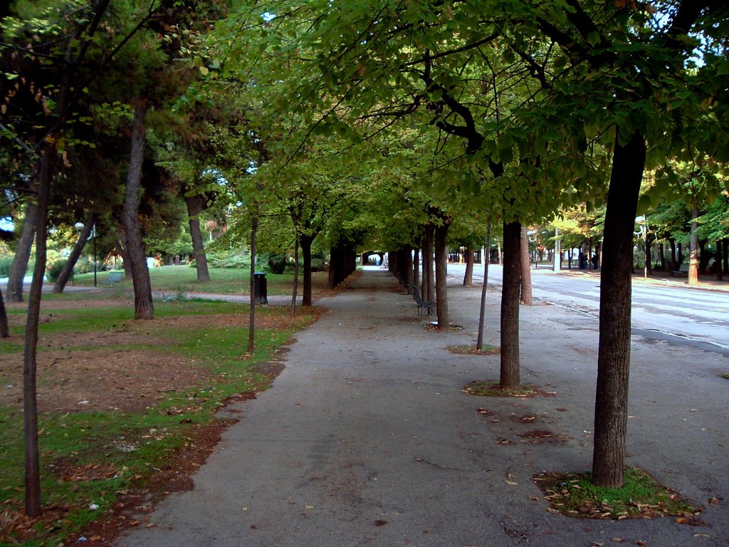 Undergreen