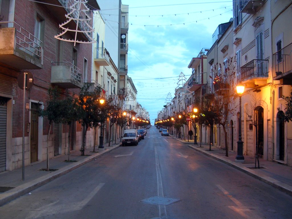 via Barletta, Andria (BA)