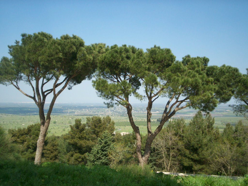 Panorama da Castel del Monte
