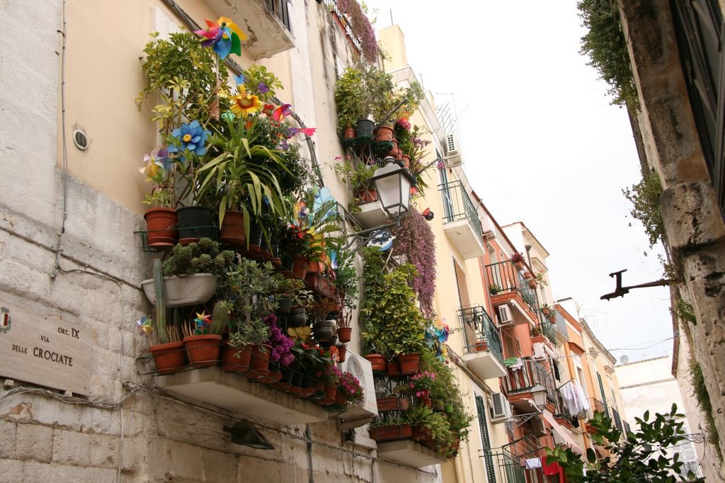 Bari