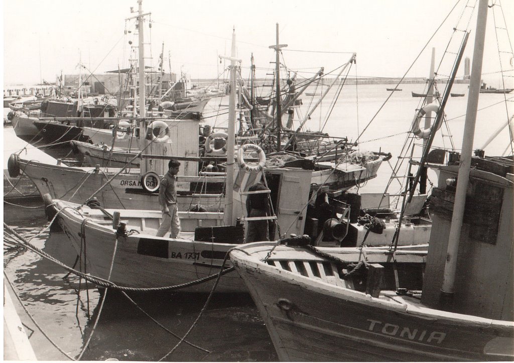 Bari fishing-boats 1968