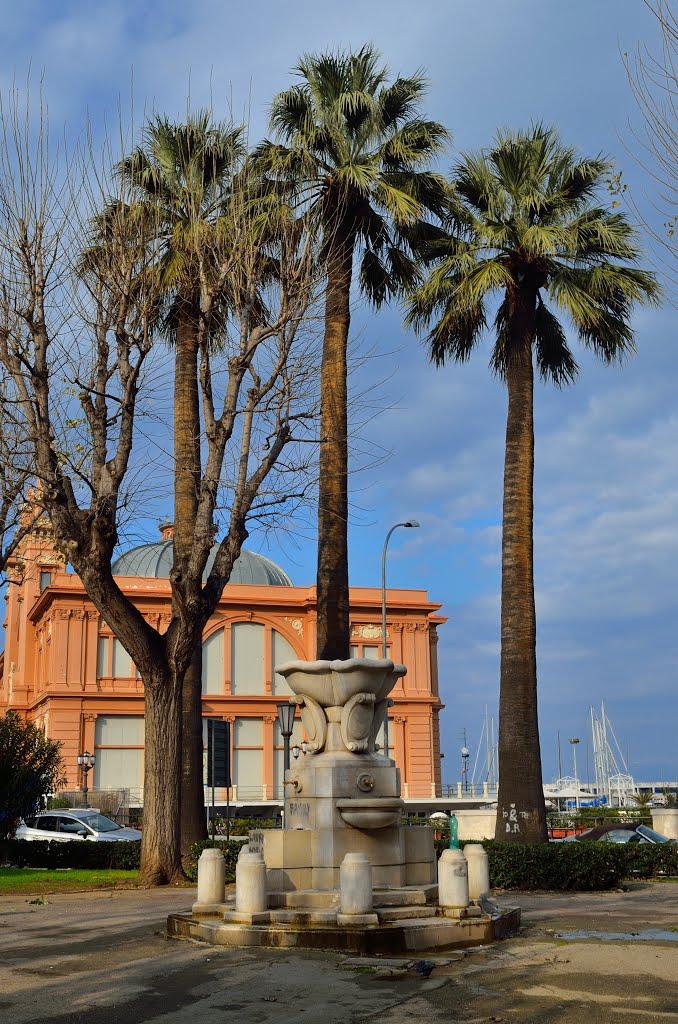 3 палме~~~3 palms