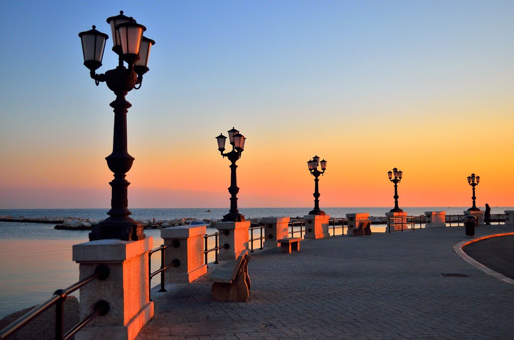 Добро јутро Бари~~~Good morning Bari