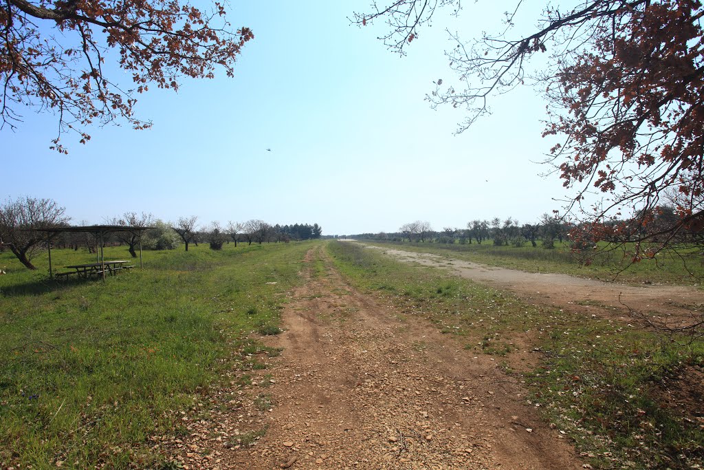 Campo Volo
