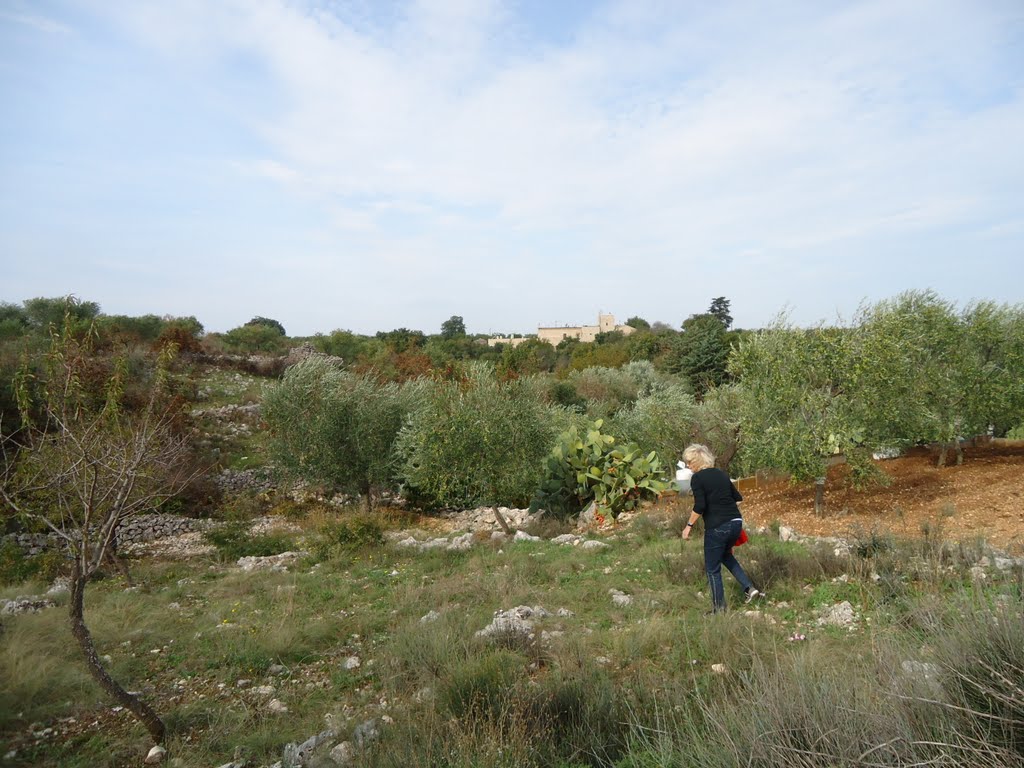 Areal: Masseria Storica Pilapalucci - 25.10.2011