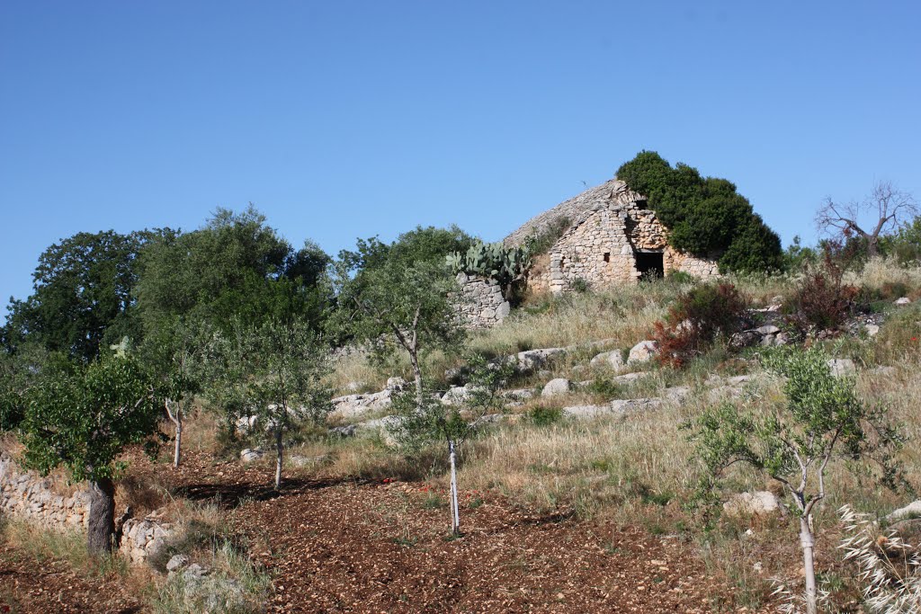 Lamia Benefici