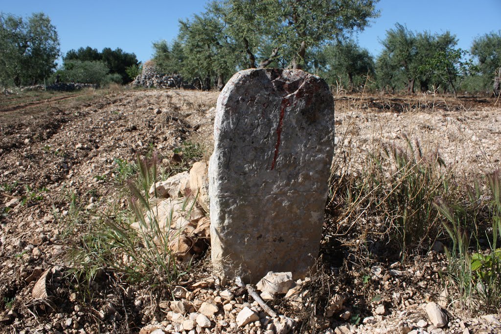 1810 cippo