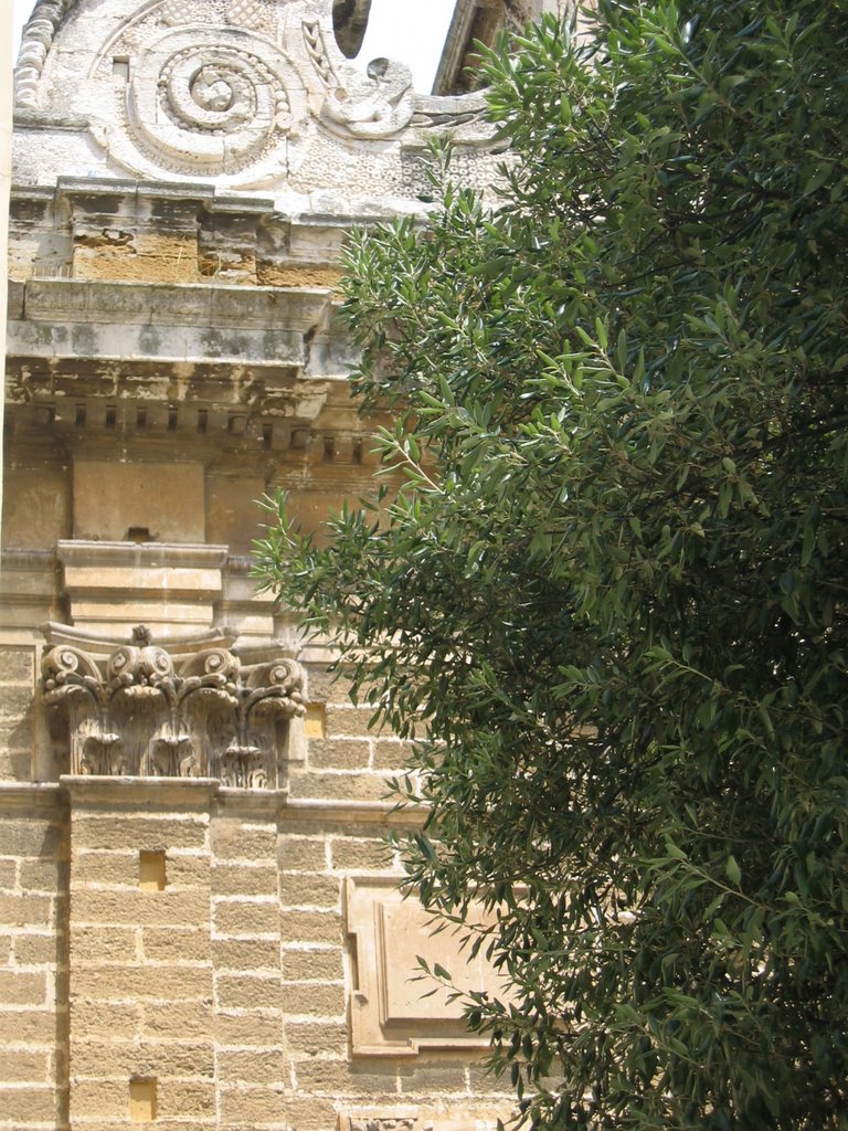 Brindisi Puglia www.trulliforsale.net