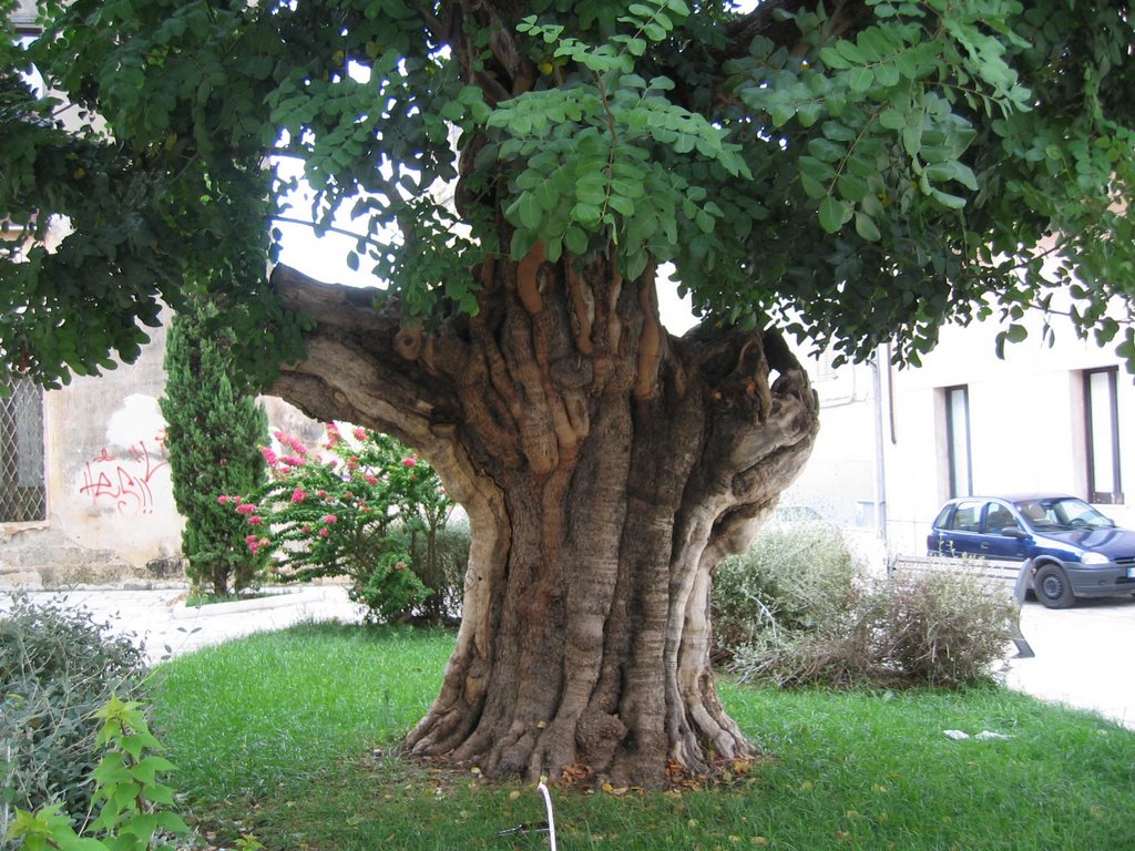 Brindisi Puglia www.trulliforsale.net