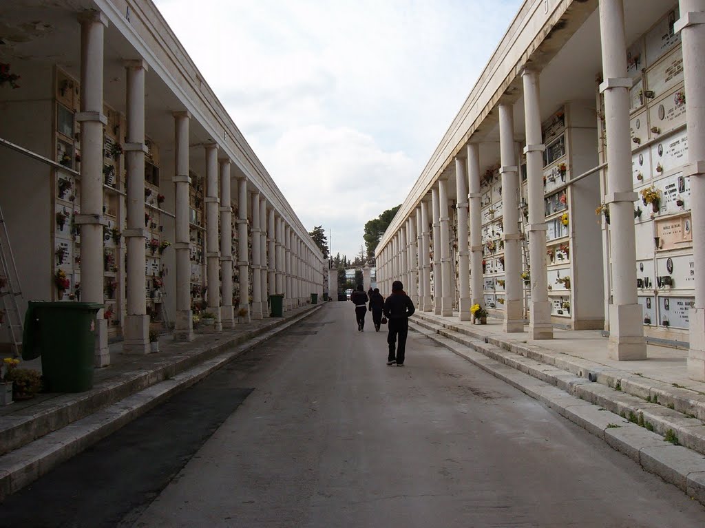 Viale nel  cimitero