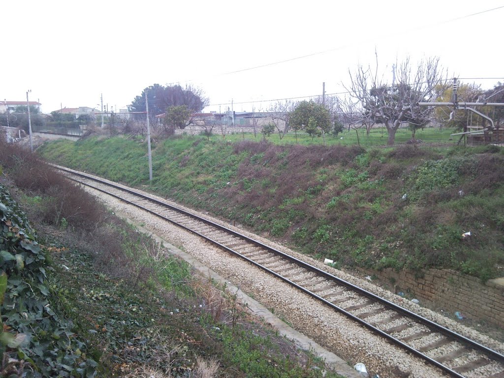 Un tratto delle Ferrovie del Nord Barese