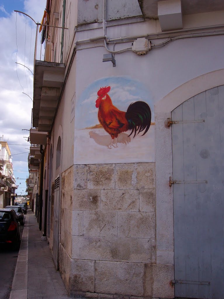 Un gallo  sul muro