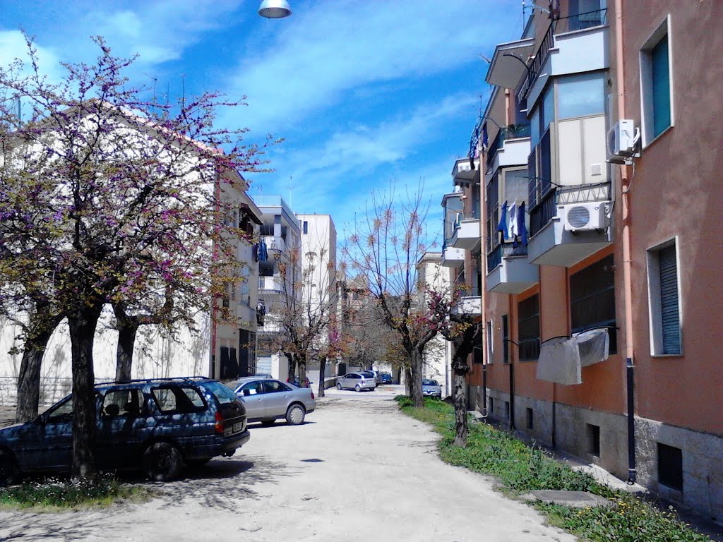 zona barbaschello corato