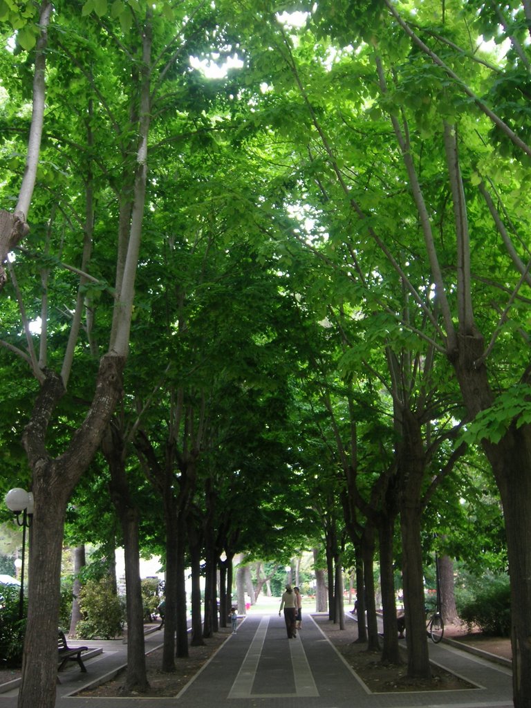 Giardini pubblici_viale_Lecce