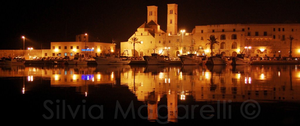 MolfettaattefloM