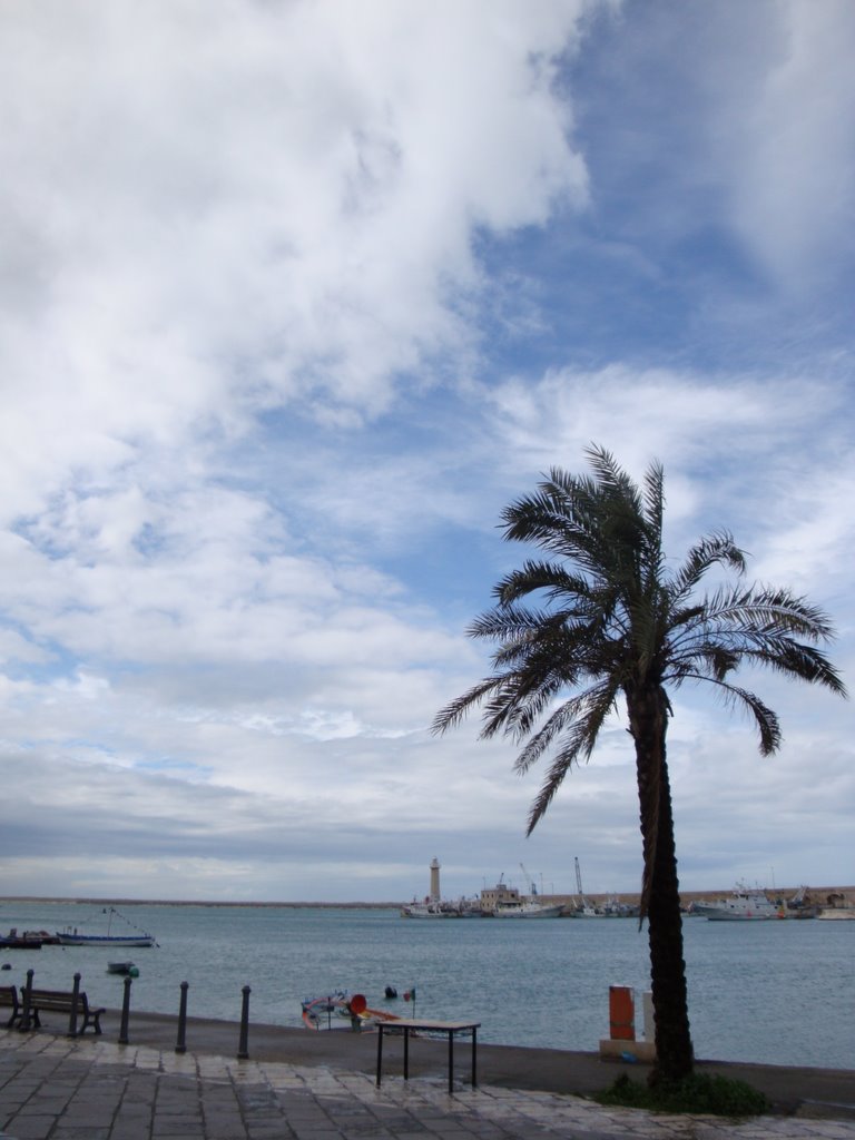 Scorcio del porto di Molfetta dalla Banchina San Domenico