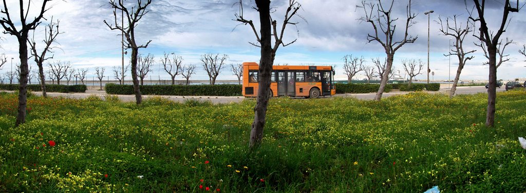 Molfetta, viale dei Crociati