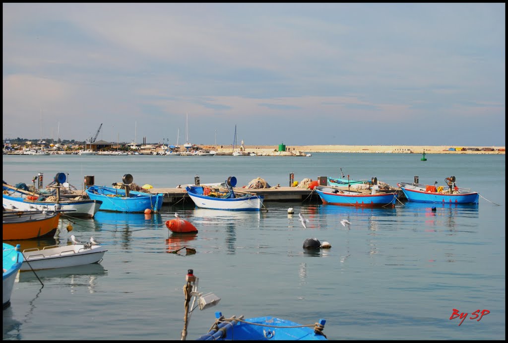 Il porto di Molfetta