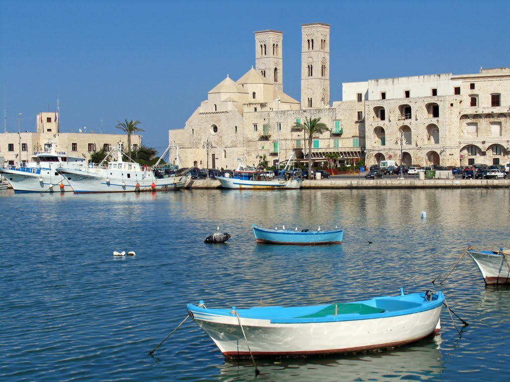 Molfetta 09 - barchette nel porto