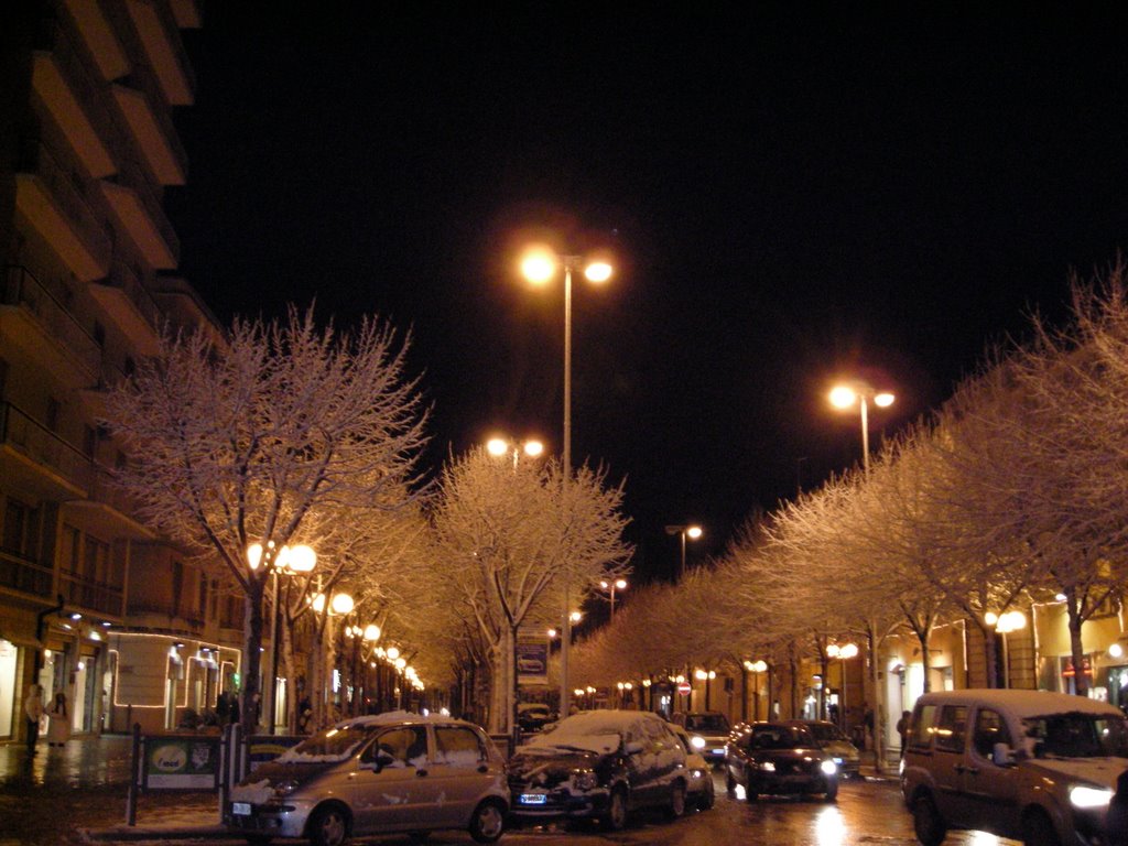 Viale della villa(corso Garibaldi) innevato