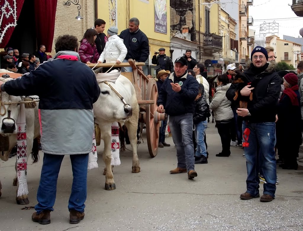San Severo benedizione animali festa SantAntonio Abate
