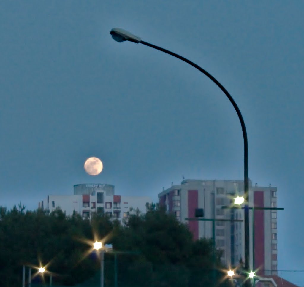 Taranto  _   canestro