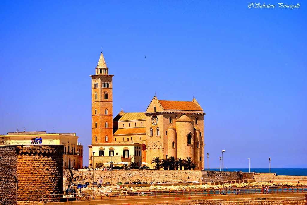 Trani Italy   ( la Cattedrale)