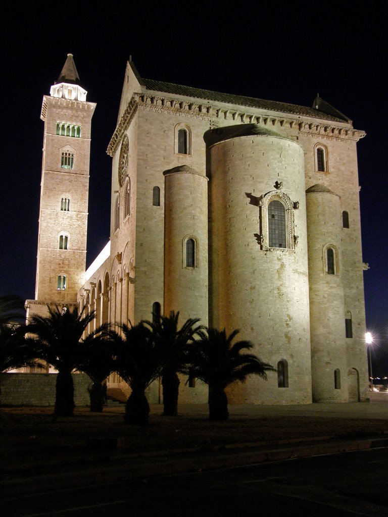 Trani Cathedral by night: the Queen