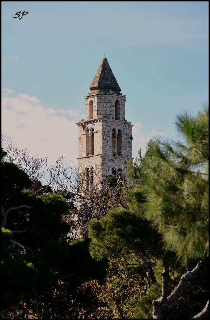 Trani