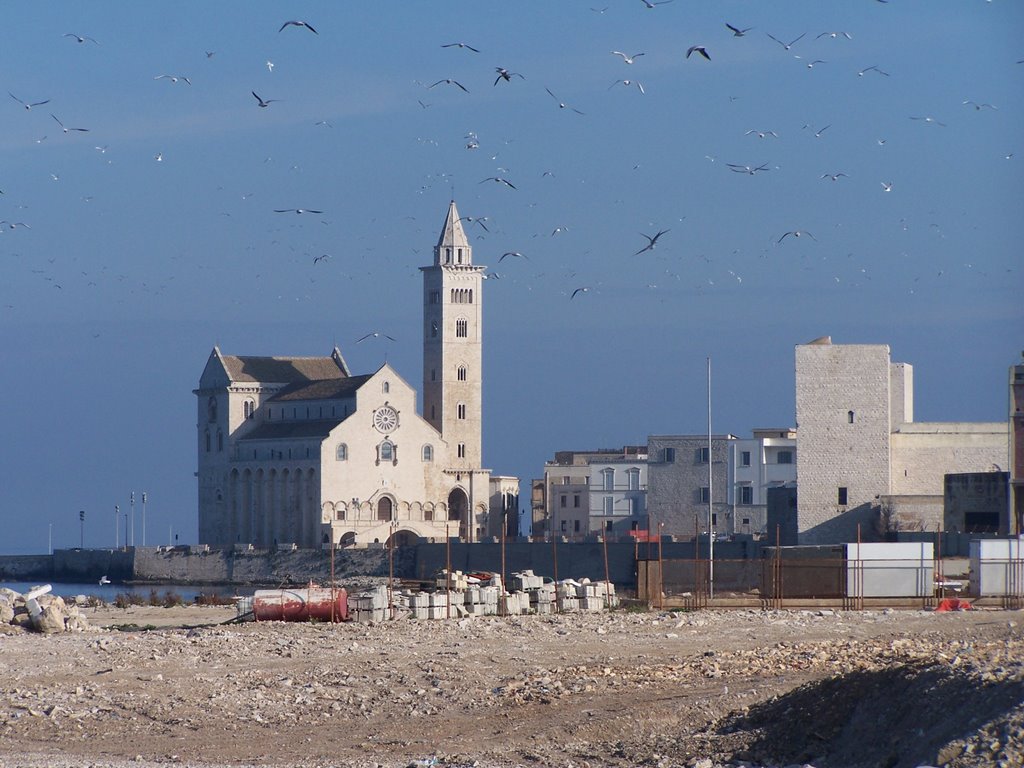 Trani - Con queste pietre bianche fu constuito sia il Duomo che il Castello