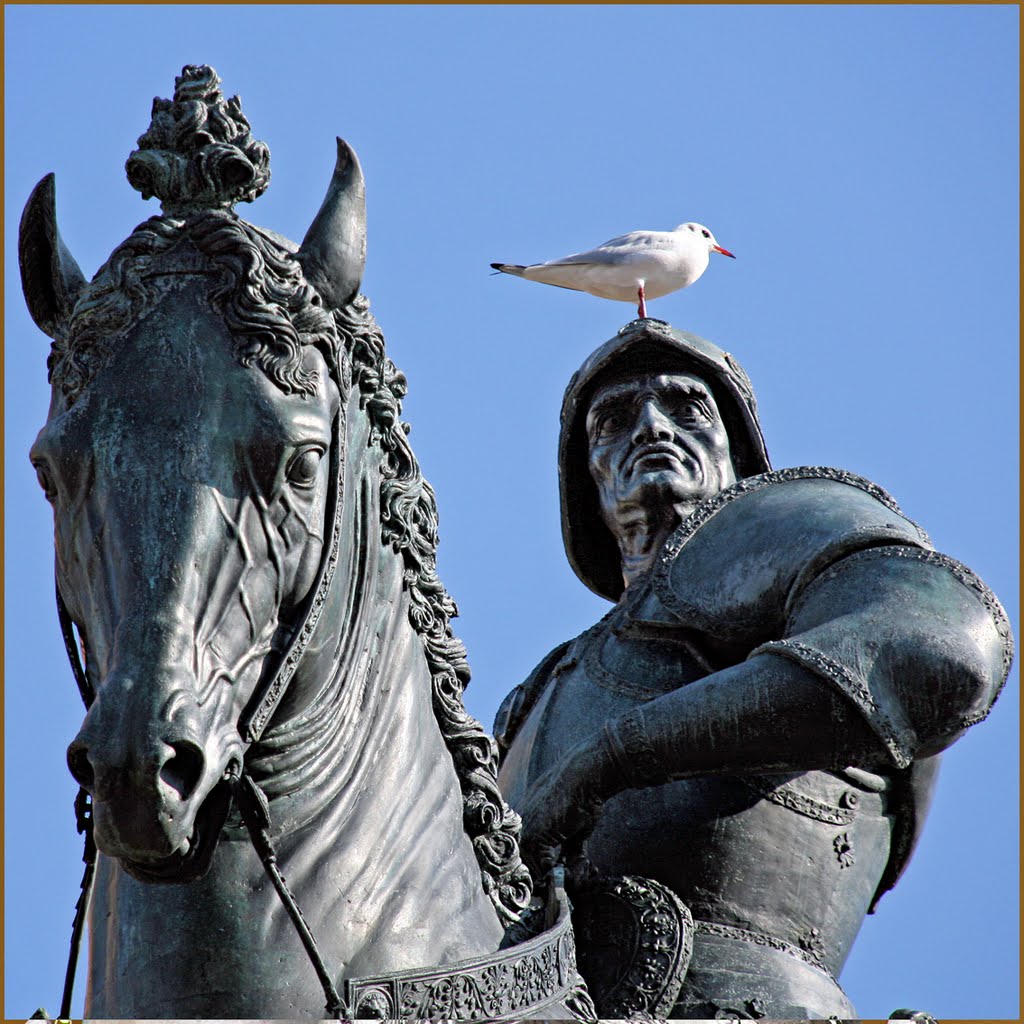 Colleoni, dal Verrocchio, Venezia