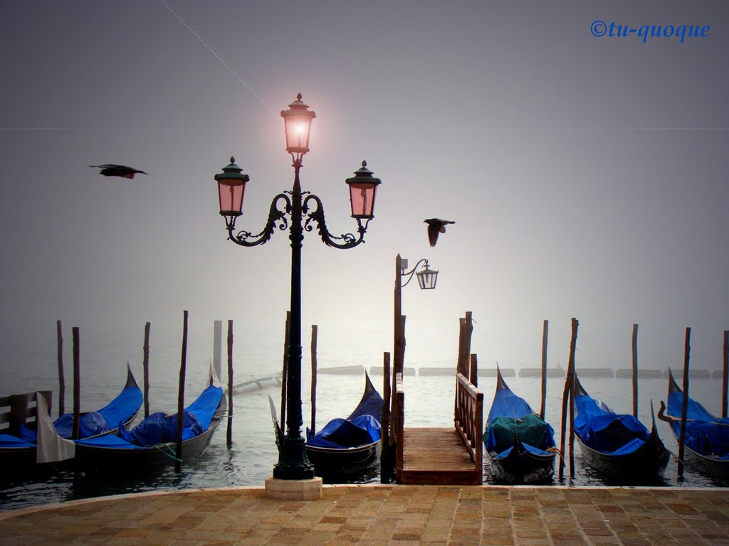Fog is everywhere (Venezia)