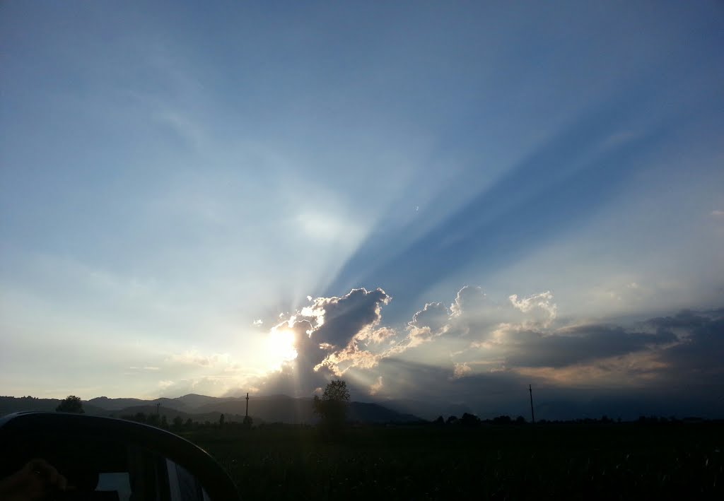 sole