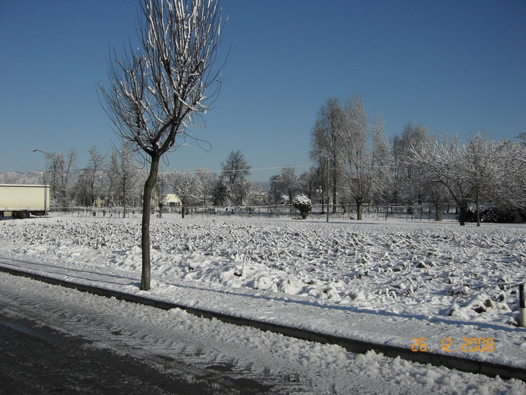 Castelnovo