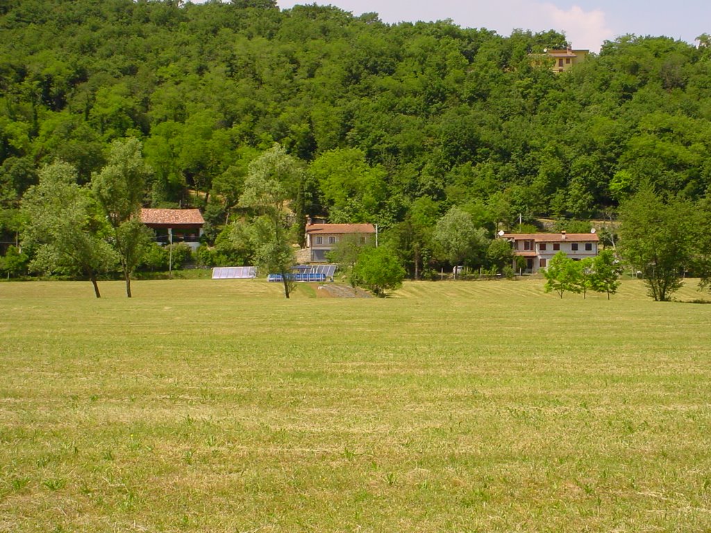 Palazzetto