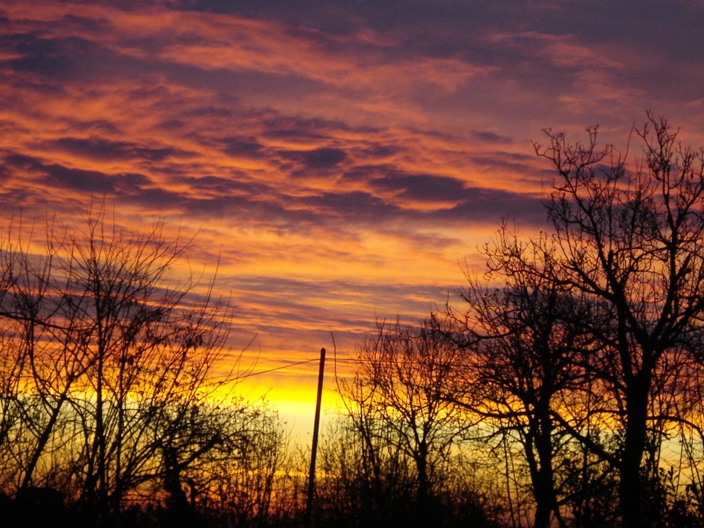 Alba 20-12-08