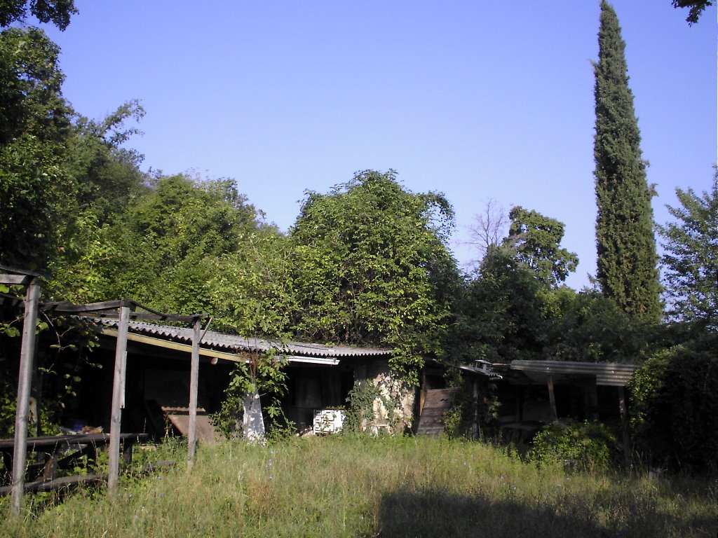 rudere